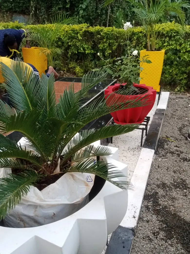 Planting design